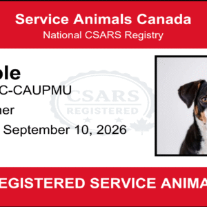 Complete Service Animal Registration package with digital ID card, downloadable certificate, and unique QR code for instant lookup and verification